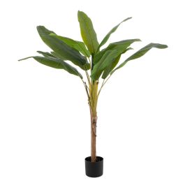 Planta Decorativa 78 x 78 x 155 cm Verde Bananera Planta Decorativa 78 x 78 x 155 cm Verde Bananera