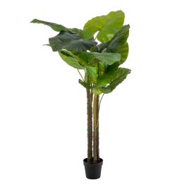 Planta Decorativa 75 x 60 x 155 cm Verde Filodendro