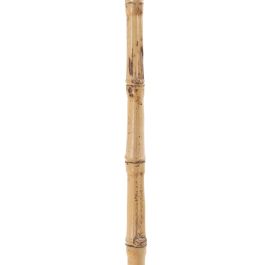 Rama Bambú 7 x 7 x 190 cm