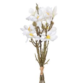 Ramo Blanco Verde 37 x 20 x 41 cm Magnolia Precio: 13.50000025. SKU: B1FP8VA4XH