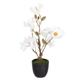 Planta Decorativa Poliéster Polietileno Hierro 25 x 25 x 49 cm Magnolia Precio: 23.78999997. SKU: B142E8E2RB