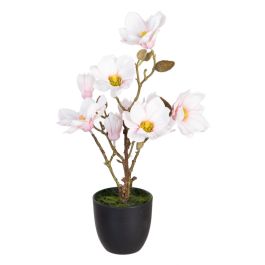 Planta Decorativa Poliéster Polietileno Hierro 25 x 25 x 49 cm Magnolia Precio: 23.78999997. SKU: B15SK3XK39