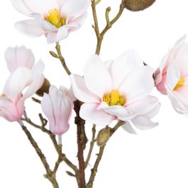 Planta Decorativa Poliéster Polietileno Hierro 25 x 25 x 49 cm Magnolia