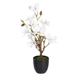 Planta Decorativa Poliéster Polietileno Hierro 30 x 30 x 60 cm Magnolia Precio: 35.95000024. SKU: B18TPNXYBQ