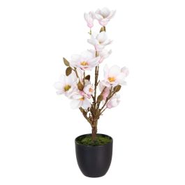 Planta Decorativa Poliéster Polietileno Hierro 30 x 30 x 60 cm Magnolia Precio: 35.95000024. SKU: B1CPTEVFMP
