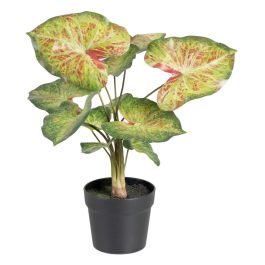 Planta Decorativa 48 x 46 x 55 cm Rojo Verde PVC Precio: 33.4999995. SKU: S8801664