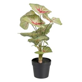 Planta Decorativa Rojo Verde PVC 40 x 35 x 55 cm Precio: 33.94999971. SKU: S8801665