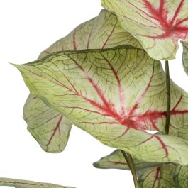 Planta Decorativa Rojo Verde PVC 40 x 35 x 55 cm