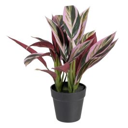 Planta Decorativa 44 x 39 x 48 cm Rosa Verde PVC Precio: 32.95000005. SKU: S8801668