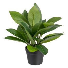 Planta Decorativa 50 x 45 x 48 cm Verde PVC Precio: 37.94999956. SKU: S8801682