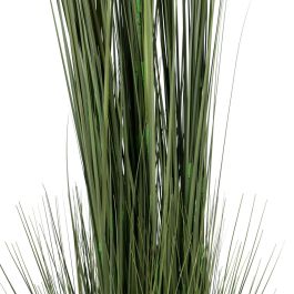 Planta Decorativa 44 x 48 x 200 cm Verde Crema PVC