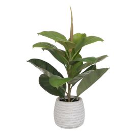 Planta Decorativa Verde PVC Roble 58 cm Precio: 47.68999983. SKU: S8802469