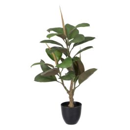 Planta Decorativa Polietileno Hierro PEVA Roble 76 cm Precio: 76.94999961. SKU: B19WEEYLYF