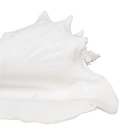 Figura Decorativa Blanco Caracola 21 x 19 x 13 cm