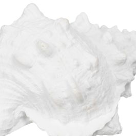 Figura Decorativa Blanco Caracola 21 x 14 x 12 cm