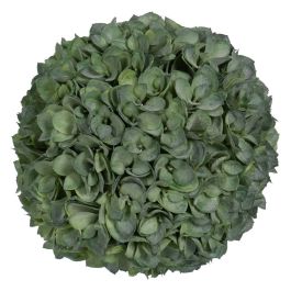 Planta Decorativa Verde PVC 23 x 23 cm Precio: 24.95000035. SKU: B17DQLWJQE