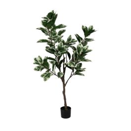 Planta Decorativa Goma 70 x 70 x 150 cm Precio: 98.61500014519999. SKU: B12TPLE6DV