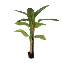 Planta Decorativa Goma 90 X 90 X 125 CM Precio: 108.2949997822. SKU: B1FN8TQTG8