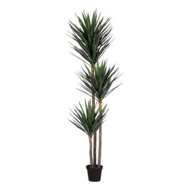 Planta Decorativa Polietileno Hierro Cemento Yuca 30 x 30 x 250 cm Precio: 402.79689929819995. SKU: B1GEN4MS7F