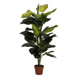 Planta Decorativa Polietileno Hierro Cemento 45 x 45 x 135 cm Precio: 74.58999988. SKU: B1JZZDGD9P