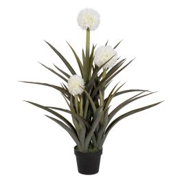 Planta Decorativa Bambú Polietileno Hierro Cemento 45 x 45 x 100 cm Precio: 128.8650001089. SKU: B17D7NFDAS