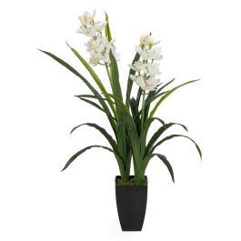 Planta Decorativa Bambú Polietileno Hierro Cemento Tejido 45 x 45 x 100 cm Precio: 75.49999974. SKU: B1B9FG3BX8