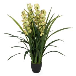 Planta Decorativa Bambú Polietileno Hierro Cemento Tejido 45 x 45 x 110 cm Precio: 187.41689932239998. SKU: B1EHMZCVYZ