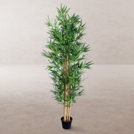 Planta Decorativa Cemento Tejido Bambú 210 cm