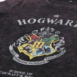 Camiseta de Manga Corta Hombre Harry Potter Gris Gris oscuro Precio: 6.95000042. SKU: S0728711