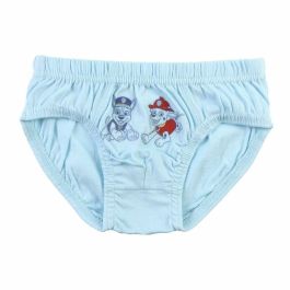 Pack de Calzoncillos The Paw Patrol Multicolor