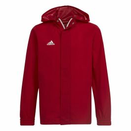 Chaqueta Deportiva para Niños Adidas Entrada 22 Rojo Precio: 29.88999959. SKU: S64123017