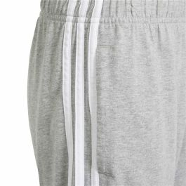 Pantalones Cortos Deportivos para Niños Adidas IS2573 Gris