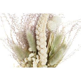 DKD Home Decor Ramo Shabby Amarillo Beige 5 x 23 x 10 cm (6 Unidades) Flor Seca