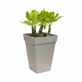 ELHO Planta contenedor cuadrado alto - 37 cm - gris antracita