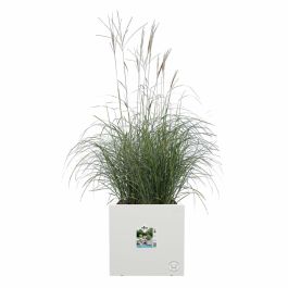 Jardinera Elho Vivo Next Square 40 - Blanco - Ø 39 x H 38 cm - interior/exterior - 100% reciclado