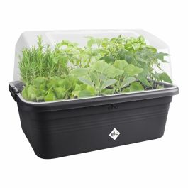 Invernadero de jardín Elho Green Basics Flower Box L - Gris - L 66 x B 48 x H 29 cm - Accesorios para cultivo y cosecha al aire libre -