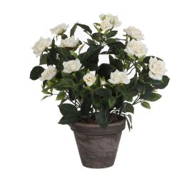 Planta Decorativa Mica Decorations Rosal Cerámica PVC Precio: 19.99949952. SKU: S7902754