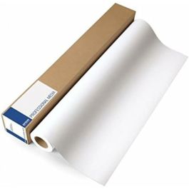 Papel Fotográfico Brillante Epson C13S045274 500 Hojas (1 unidad) Precio: 44.164999624900005. SKU: B1JGDJNJJ3