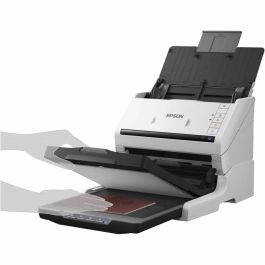 Escáner Epson B11B261401