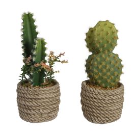Planta Decorativa EDM 808447 Cactus 28 cm Precio: 9.9499994. SKU: B13AAYLME2