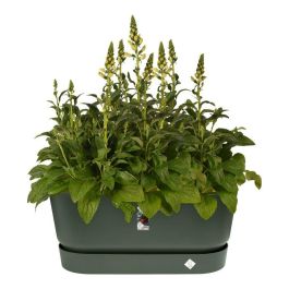 Greenville Terrase 80 Ruedas verde hoja Greenville Terrase 80 Ruedas verde hoja