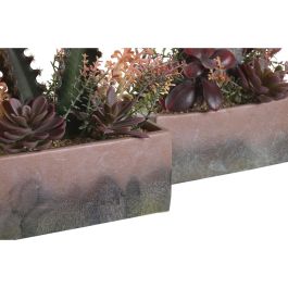Planta DKD Home Decor Naranja Rosa 9 x 22 x 19 cm (2 Unidades) Planta DKD Home Decor Naranja Rosa 9 x 22 x 19 cm (2 Unidades)