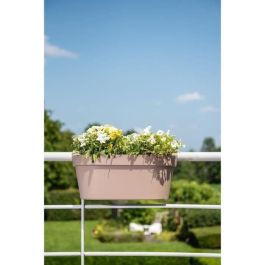 Jardinera+gancho - GARDEN ID Star - Taupe 50 x 21 cm - Fácil fijación - Reserva de agua - Reciclado y 100% reciclable Jardinera+gancho - GARDEN ID Star - Taupe 50 x 21 cm - Fácil fijación - Reserva de agua - Reciclado y 100% reciclable