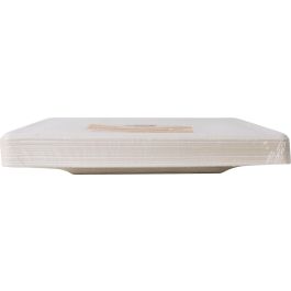 Set de 25 Platos Biodegradables Cuadrados 26 cm Algon (8 Unidades) Set de 25 Platos Biodegradables Cuadrados 26 cm Algon (8 Unidades)