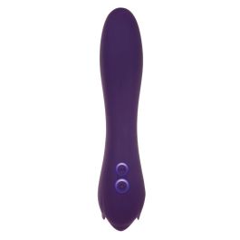 Vibrador Evolved Morado Vibrador Evolved Morado
