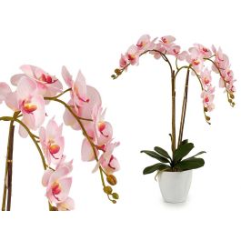 Orquídea Rosa en Maceta Cónica Blanca Jumbo Ibergarden 40x78x35 cm (2 Unidades) Precio: 50.49999977. SKU: S3603055
