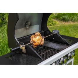 Fieldmann FZG 9031 Asador para Barbacoa