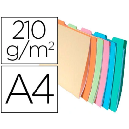 Exacompta Subcarpeta Cartulina DIN A4 Apaisada Pestaña Lateral 6 Colores Surtidos Precio: 46.99000031. SKU: B1BDTDM4T5