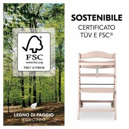 Hauck HAU1715730458756 Trona BETA+ Evolutiva Madera FSC De 6 meses a 90 kg con Arnés de 5 puntos y Ruedas, Blanqueada