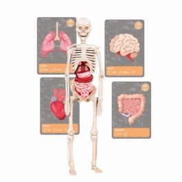 Clementoni CLE8005125527366 Kit de Ciencia y Juegos La Historia de la Vida en la Tierra con Realidad Virtual y Más de 50 Experimentos